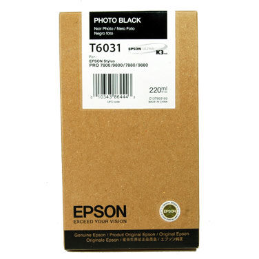 Cartus Imprimanta Epson T603100 Photo Black